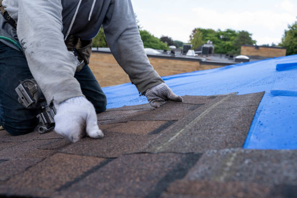 Best Sheet Metal Roofing  in Lake Of The Pines, CA